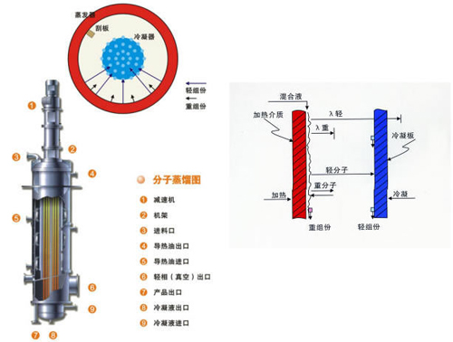 刮板蒸發器 刮板蒸發器